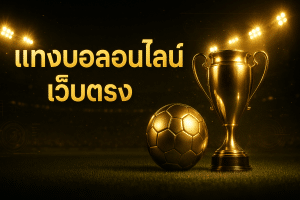 แทงบอลออนไลน์ เว็บตรง